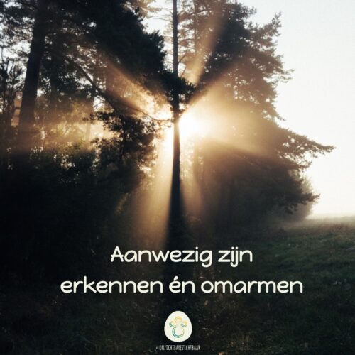 Aanwezig zijn erkennen én omarmen