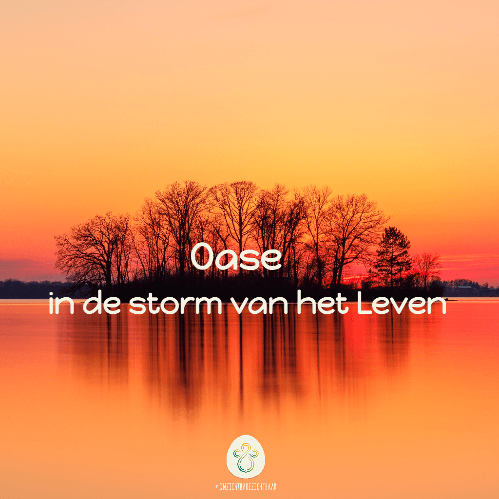 OASE in de storm van het Leven